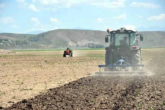 Keban Barajı'nda Su Çekildi, Tarım Başladı