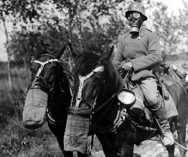 32. Kimyasal gazdan etkilenmiş ormandan geçen asker ve atı gaz maskeleri ile korunmaya çalışıyor