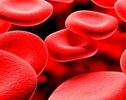 Talasemi Nedir?