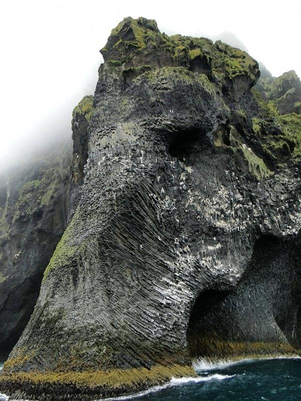 62. Fil Kayası, Heimaey, İzlanda