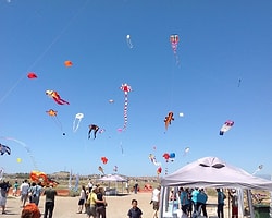 3. Alaçatı Uçurtma Festivali