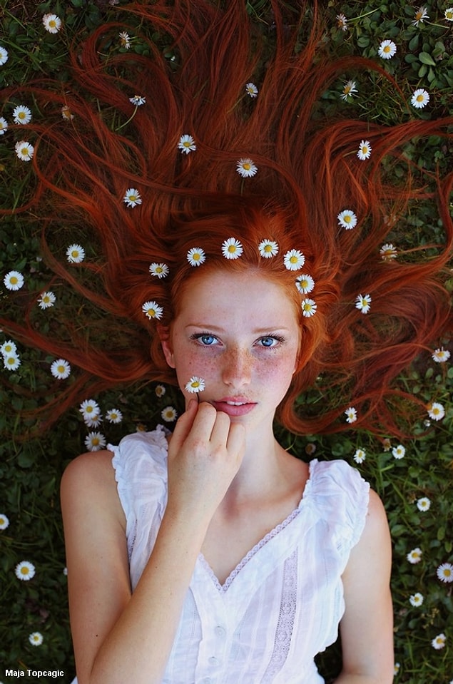 11. There are many beautiful songs about the daisy.