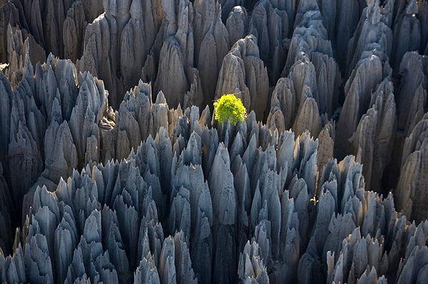 62. Tsingy of Bemaraha Ulusal Parkı, Madagaskar