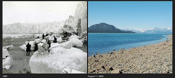 5. Alaska'nın Muir Buzulu'nda 1800'lü yılların sonunda çekilen fotoğrafta genişliği 7 metreyi bulan buz kütleleri var. 2005 yılına gelindiğinde bu bölgedeki buzlar tamamen erimiş.