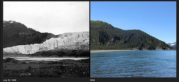 8. 1909 ve 2004 yılları arasında Güney Alaska McCarty Buzulu yaklaşık 16 km geri çekilmiş. 2004 yılındaki fotoğrafta buzulların yerinde kocaman bir orman oluşmuş.