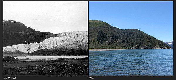 8. 1909 ve 2004 yılları arasında Güney Alaska McCarty Buzulu yaklaşık 16 km geri çekilmiş. 2004 yılındaki fotoğrafta buzulların yerinde kocaman bir orman oluşmuş.