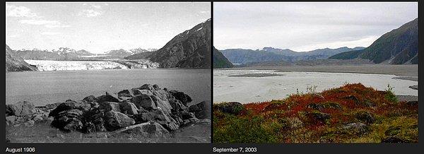 9. Alaska'da Glacier Körfezi'nde bulunan Glacier Buzulu 1906 ve 2003 yılları arasında muazzam bir değişim yaşamış. Eriyen buzulların getirdiği tortular körfezin bir bölümünün dolmasına sebep olmuş.