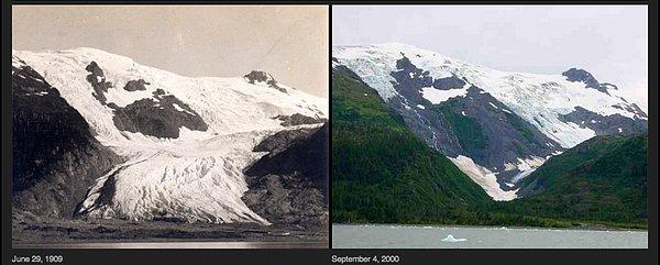 10. Alaska'nın Toboggan Buzulu'da 1905 ve 2000 yılları arasında 152 metre inceldi ve 4828 metre geriledi.