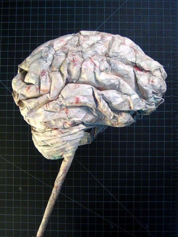 27. İnsan beyni