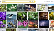 Yandex’te Görseller Artık Daha Kolay Bulunuyor
