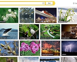 Yandex'te Görseller Artık Daha Kolay Bulunuyor