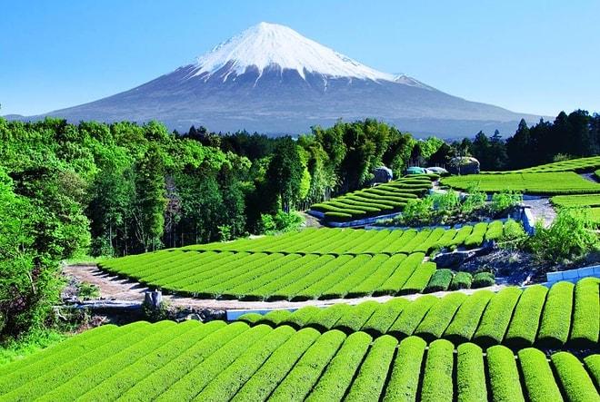 Sizi Japonya'ya Götürecek, Götürürken Bilgilendirecek 13 Görsel