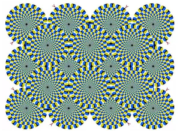 15. Akiyoshi Kitaoka geometrik şekillerden oluşur, hareket yanılsamasını meydana getirmek için ise parlaklığı ve renkleri kullanır. Aslında resim hareket etmiyor, bu sadece beynimizin bir oyunu