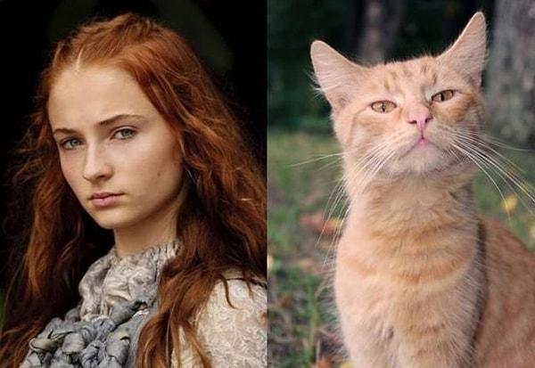 7. Sansa Stark