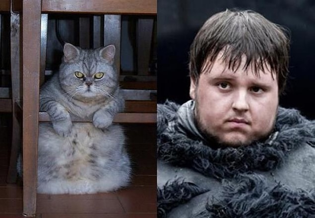 14. SamWell Tarly