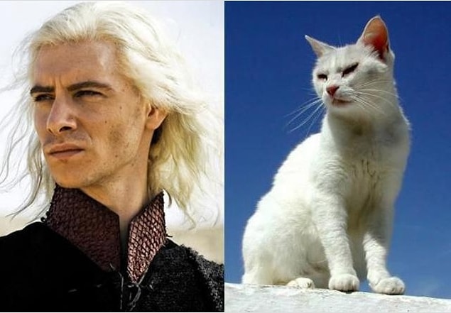 16. Viserys Targaryen