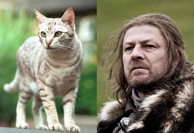 17. Ned Stark