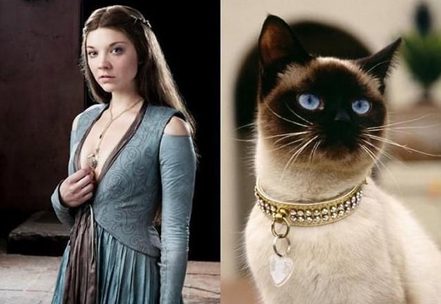 18. Margaery Tyrell