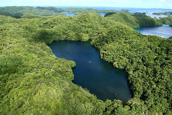 Bu göl Palau'da denizin ortasında bulunan bir adada (Eil Malk) bulunuyor