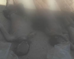 Muhaliflere İşkencenin Yeni Fotoğrafları