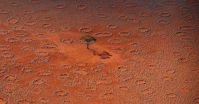 8. Namibya'daki gizemli çemberler: Burada yaşayan bir kum termiti türünün sebep olduğu doğa olayıdır.