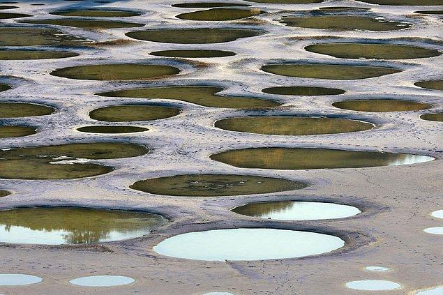 24. Spotted Gölü, Kanada: Dünyada en fazla magnezyum sülfat, kalsiyum ve sodyum sülfat içeren göldür.