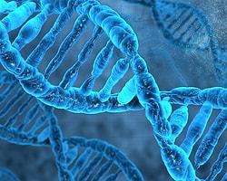 'İlk Canlılardan Önce DNA Vardı'