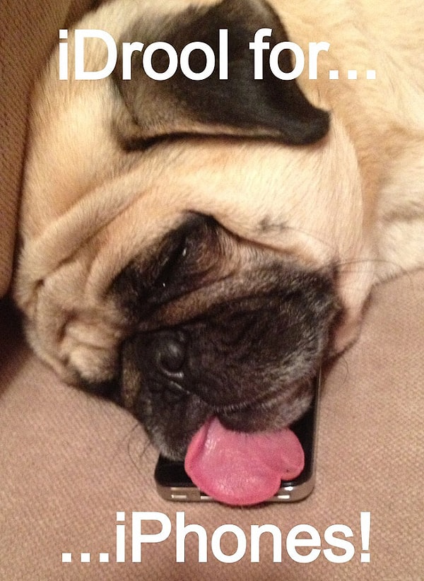 10. "Слюнки бегут при виде iPhone'а."