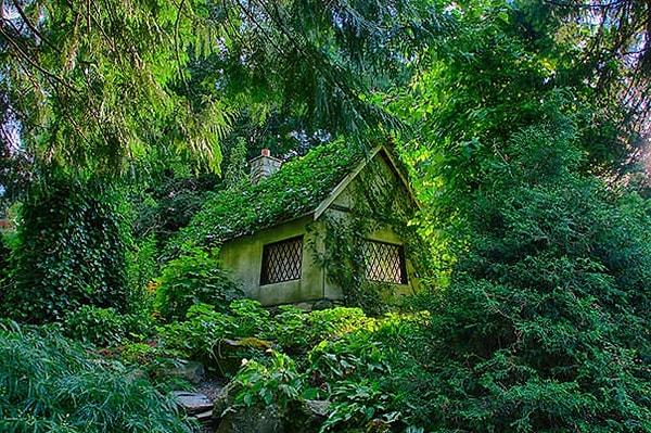 1. Orman perisi evi, Kanada