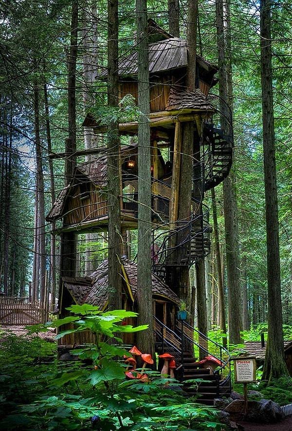2. Tripleks ağaç evi, Kanada