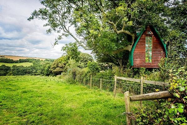 Treehouse, Cornwall, Birleşik Krallık.