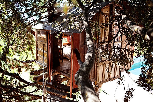 Treehouse, Andalusia, İspanya.