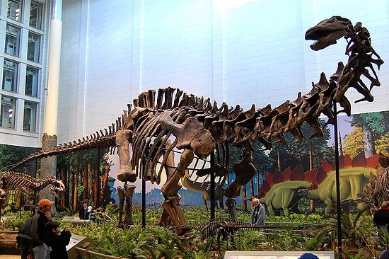 Milenyum Hangi Basit Gerçekleri Değiştirdi?