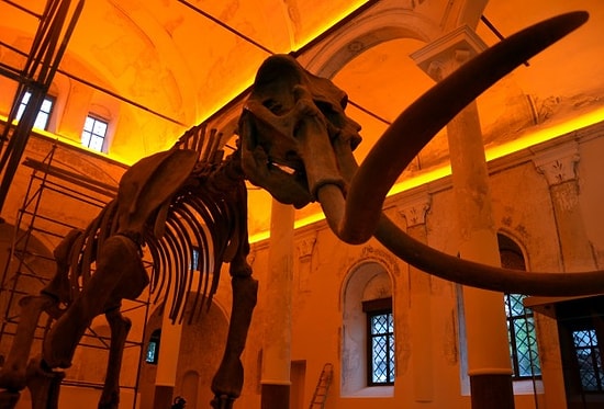 Burdur'da 5 Milyon Yıllık Fosiller Sergilenecek