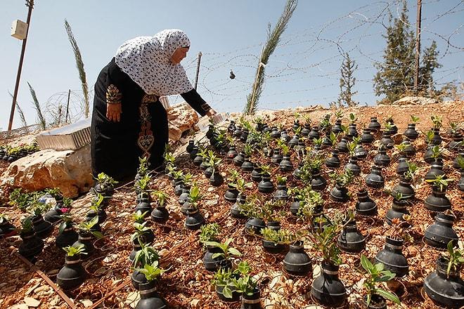 Bombalarda Çiçek Yetiştiren Filistinli Kadınlar