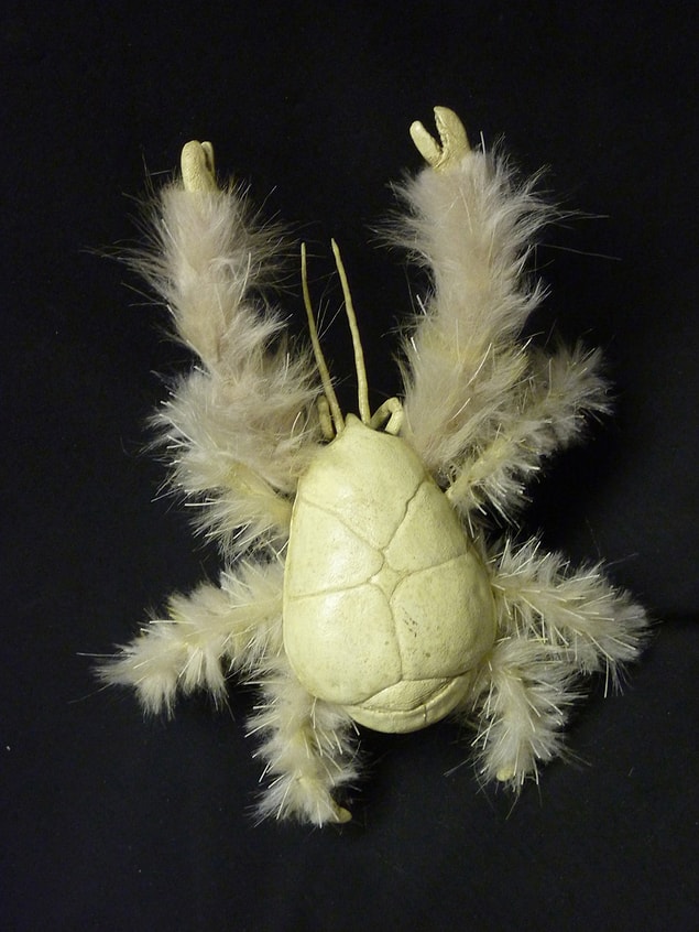 21. Yeti Yengeci