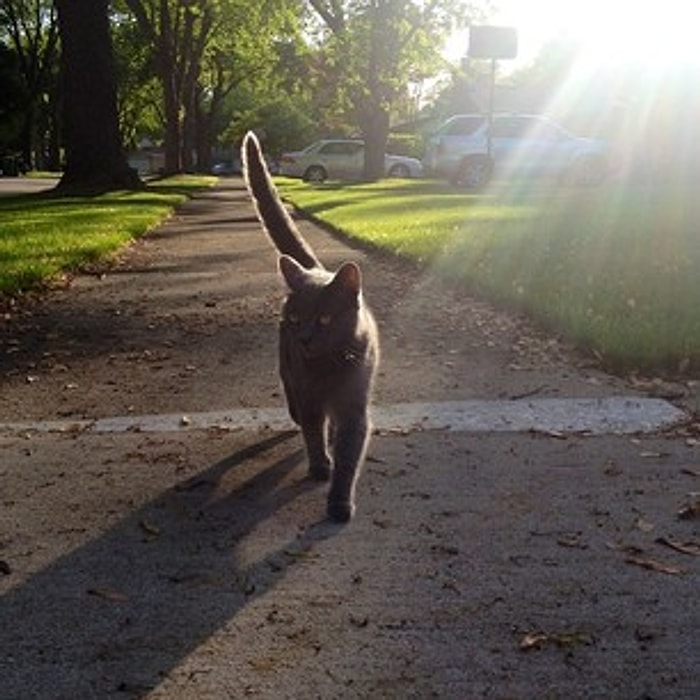 Bu Yaz Sadece Kendi Huzurunuz İçin Yapmanız Gereken 21 Şey
