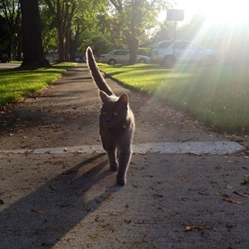 Bu Yaz Sadece Kendi Huzurunuz İçin Yapmanız Gereken 21 Şey