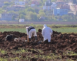 Ceylanpınar'a 2 Top Mermisi Düştü