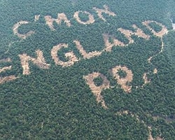 "Paddy Power'dan Reklam İçin Ağaç Katliamı" İddiası