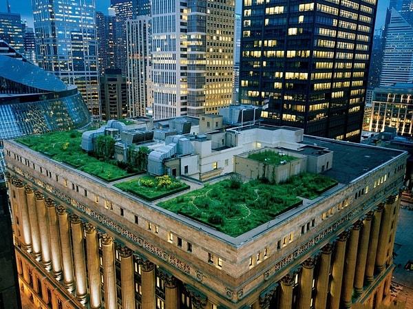 23. Chicago City Hall teras bahçeleri