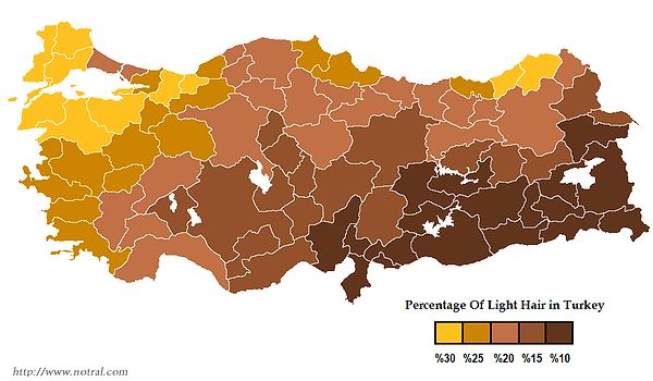 TÜRKİYE'DE AÇIK SAÇ GÖRÜLME ORANI