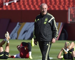Del Bosque'den Fabregas Yorumu