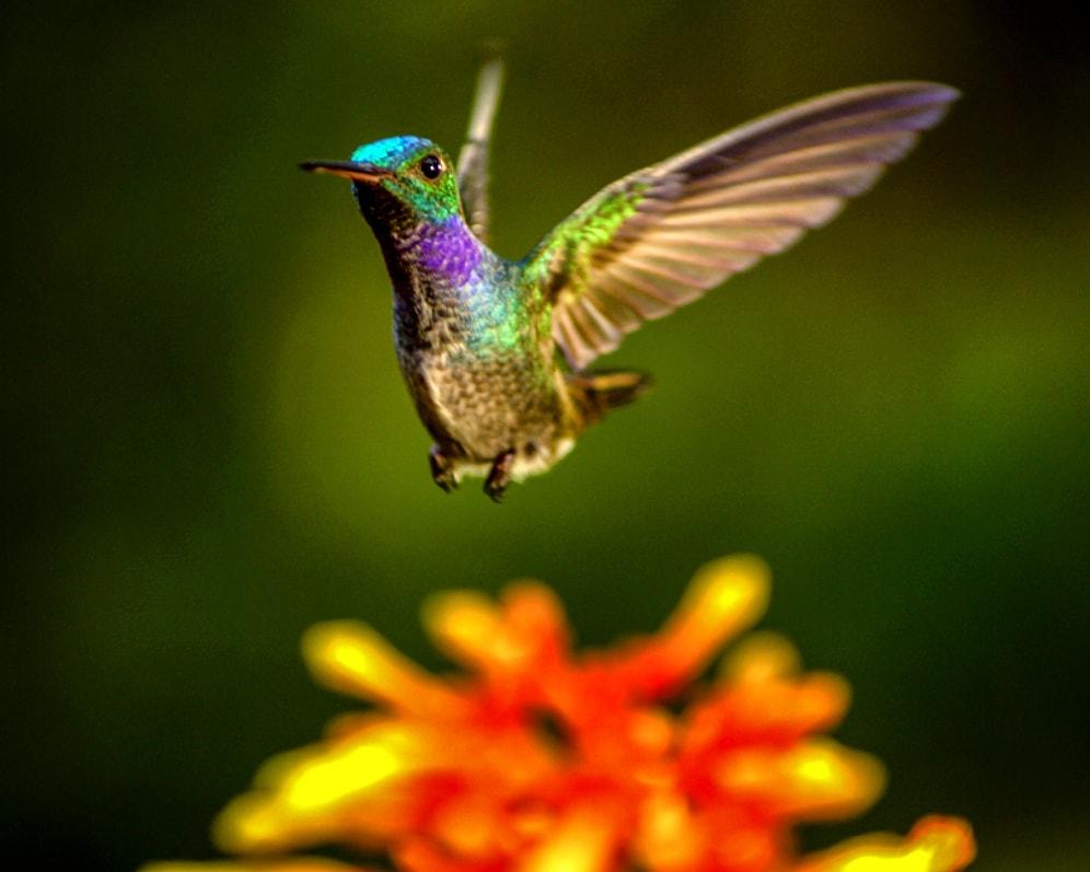Daha Önce Görmediğiniz Güzellikteki 10 Harika Doğa Fotoğrafı
