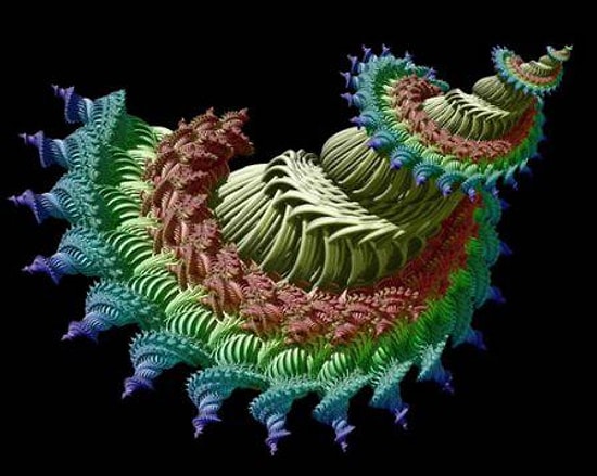 Altın Oranın ve Spiralin Karmaşık Estetiğini Gözler Önüne Seren 11 Çalışma