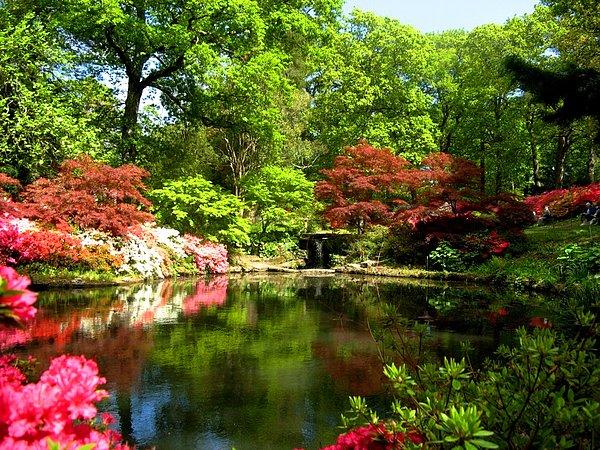 10. Exbury Bahçeleri - Hampshire, İngiltere