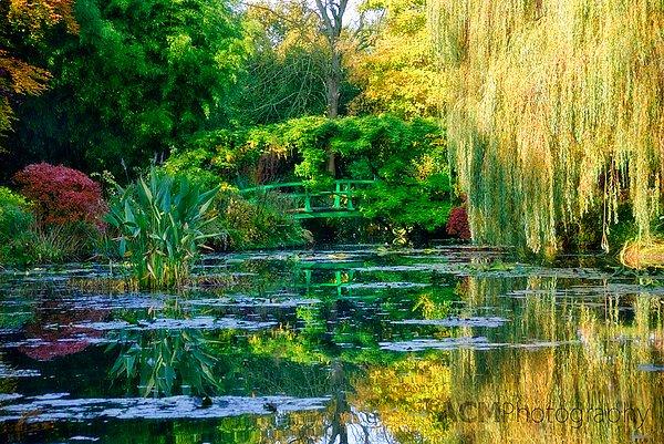 17. Claude Monet Bahçesi - Giverny, Fransa