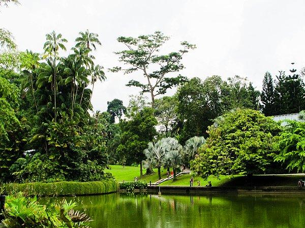 24. Singapur Botanik Bahçesi - Singapur