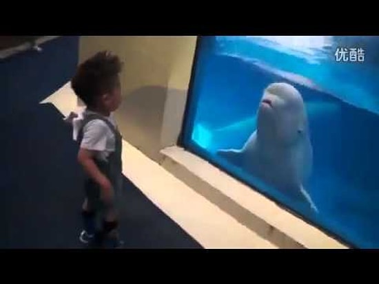 Balinanın Fırlama Olanı