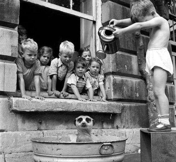 3. Bir Mirket ve çocuklar, 1950